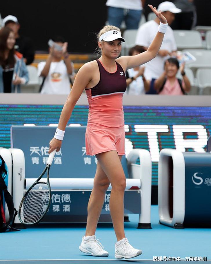 艾格努之争 艾格努之争